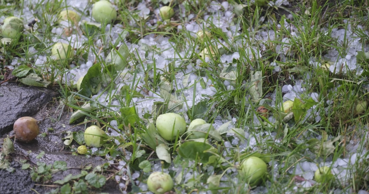 Százhárom településen kellett bevetni a tűzoltókat a viharkárok elhárítására